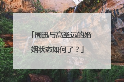 周迅与高圣远的婚姻状态如何了?