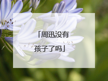 周迅没有孩子了吗