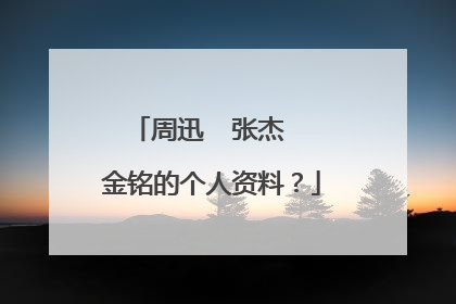 周迅  张杰  金铭的个人资料？