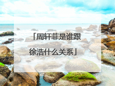 周轩菲是谁跟徐浩什么关系