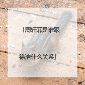 周轩菲是谁跟徐浩什么关系