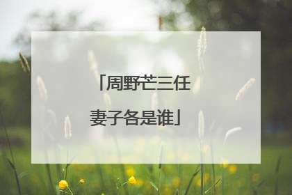 周野芒三任妻子各是谁