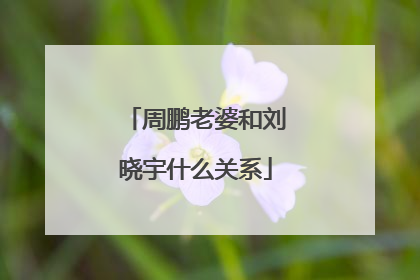 周鹏老婆和刘晓宇什么关系