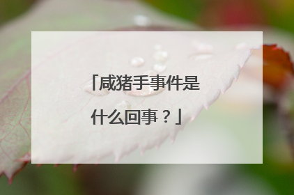 咸猪手事件是什么回事?