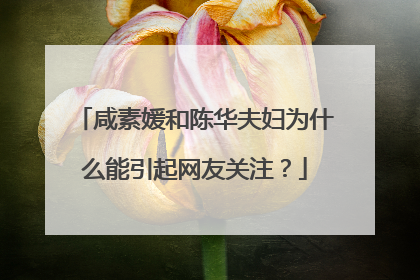 咸素媛和陈华夫妇为什么能引起网友关注?