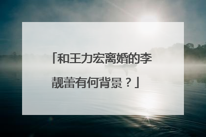 和王力宏离婚的李靓蕾有何背景？