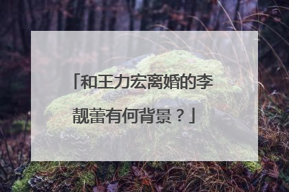 和王力宏离婚的李靓蕾有何背景？