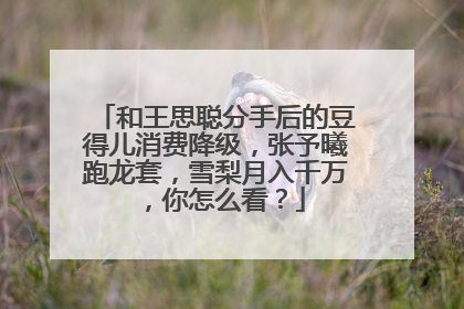 和王思聪分手后的豆得儿消费降级,张予曦跑龙套,雪梨月入千万,你怎么看?