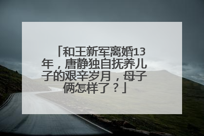 和王新军离婚13年,唐静独自抚养儿子的艰辛岁月,母子俩怎样了?