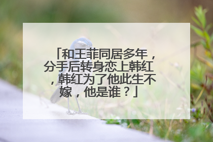 和王菲同居多年，分手后转身恋上韩红，韩红为了他此生不嫁，他是谁？