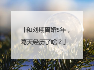 和刘翔离婚5年,葛天经历了啥?