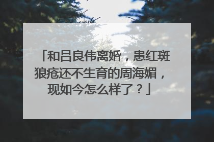 和吕良伟离婚,患红斑狼疮还不生育的周海媚,现如今怎么样了?
