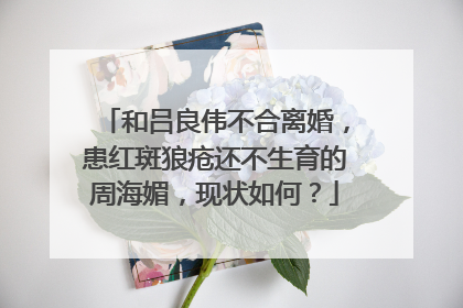 和吕良伟不合离婚,患红斑狼疮还不生育的周海媚,现状如何?