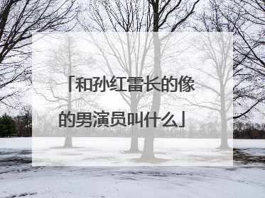 和孙红雷长的像的男演员叫什么