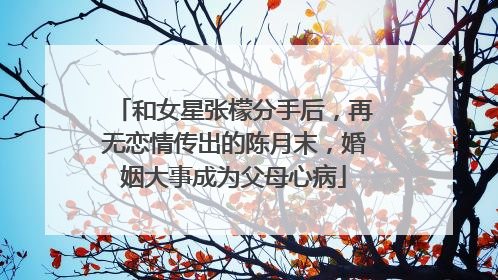 和女星张檬分手后，再无恋情传出的陈月末，婚姻大事成为父母心病