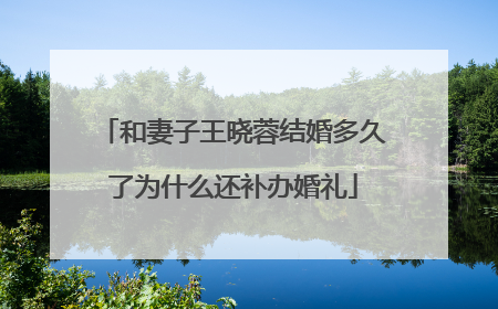 和妻子王晓蓉结婚多久了为什么还补办婚礼
