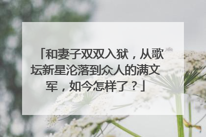 和妻子双双入狱,从歌坛新星沦落到众人的满文军,如今怎样了?