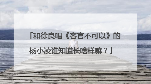 和徐良唱《客官不可以》的杨小凌谁知道长啥样嘛？