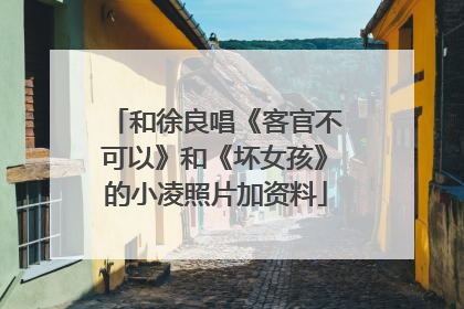 和徐良唱《客官不可以》和《坏女孩》的小凌照片加资料