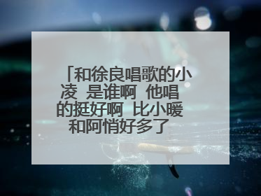 和徐良唱歌的小凌 是谁啊 他唱的挺好啊 比小暖 和阿悄好多了 给张照片把