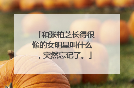 和张柏芝长得很像的女明星叫什么，突然忘记了。