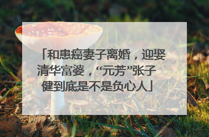 和患癌妻子离婚,迎娶清华富婆,“元芳”张子健到底是不是负心人