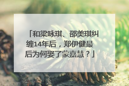 和梁咏琪、邵美琪纠缠14年后，郑伊健最后为何娶了蒙嘉慧？
