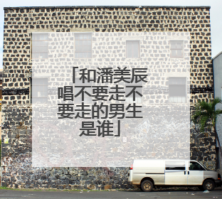 和潘美辰唱不要走不要走的男生是谁