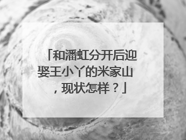 和潘虹分开后迎娶王小丫的米家山，现状怎样？