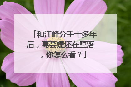 和汪峰分手十多年后,葛荟婕还在堕落,你怎么看?