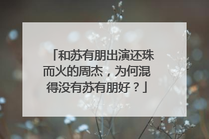 和苏有朋出演还珠而火的周杰，为何混得没有苏有朋好？