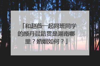 和赵薇一起同班同学的颜丹晨籍贯是湖南哪里?婚姻如何?