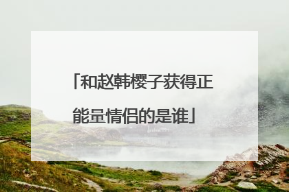 和赵韩樱子获得正能量情侣的是谁