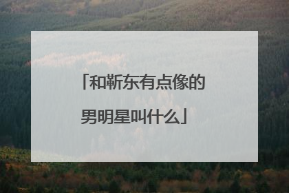 和靳东有点像的男明星叫什么