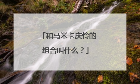 和马米卡庆怜的组合叫什么?