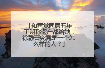 和黄觉同居五年,王朔称遗产都给她,徐静蕾究竟是一个怎么样的人?