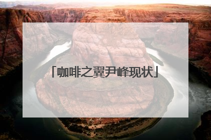 咖啡之翼尹峰现状