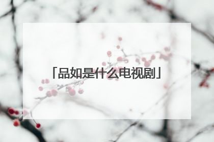 品如是什么电视剧