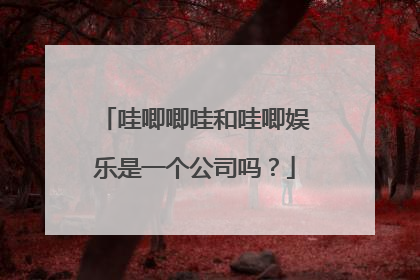 哇唧唧哇和哇唧娱乐是一个公司吗？