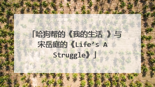哈狗帮的《我的生活Ⅱ》与宋岳庭的《Life’s A Struggle》