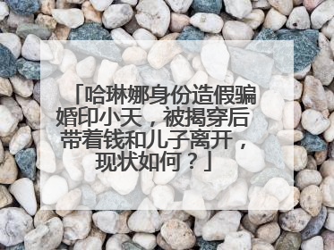 哈琳娜身份造假骗婚印小天,被揭穿后带着钱和儿子离开,现状如何?