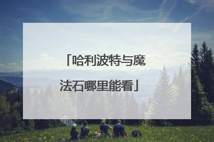 哈利波特与魔法石哪里能看