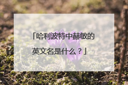 哈利波特中赫敏的英文名是什么？