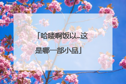 哈喽啊饭以…这是哪一部小品