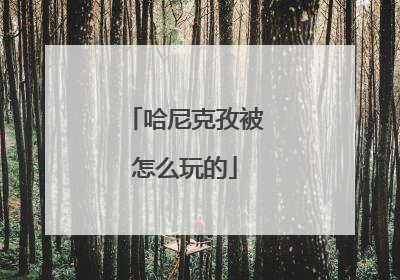 哈尼克孜被怎么玩的