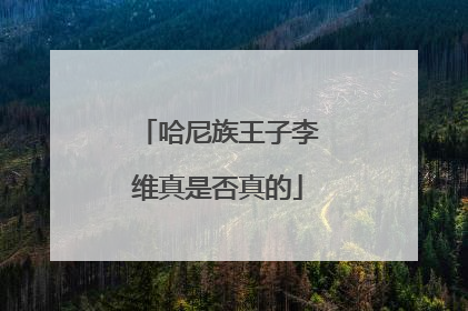 哈尼族王子李维真是否真的