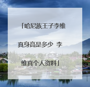 哈尼族王子李维真身高是多少 李维真个人资料