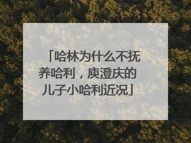 哈林为什么不抚养哈利，庾澄庆的儿子小哈利近况
