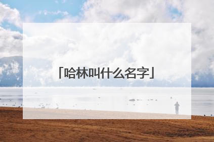 哈林叫什么名字