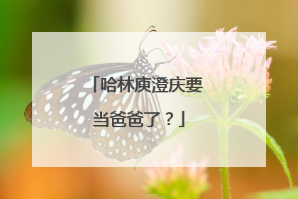 哈林庾澄庆要当爸爸了?